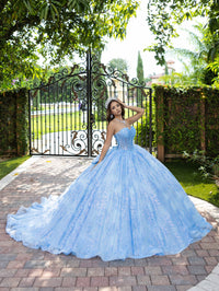 House of Wu Style 56527 - Sky