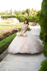 Ragazza Style DV39-539