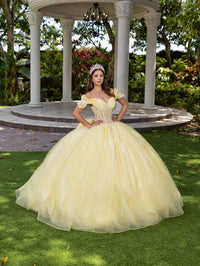 House of Wu Style 56535 - Yellow/Silver
