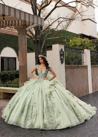 Rachel Allan Style RQ3163 - SAGE IRIDESCENT