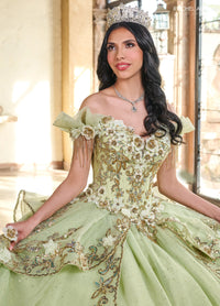 Rachel Allan Style RQ3137 - SAGE GOLD