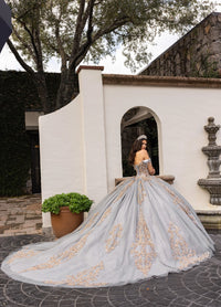 Rachel Allan Style RQ2230 - SILVER ROSE GOLD