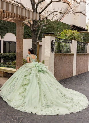 Rachel Allan Style RQ3163 - SAGE IRIDESCENT