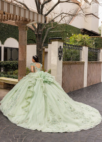 Rachel Allan Style RQ3163 - SAGE IRIDESCENT