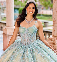 Princesa Ariana Vara PR30158 - Sage/Champagne