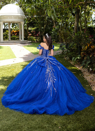 House of Wu Style 56535 - Royal/Silver