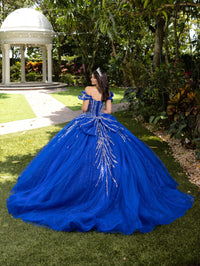 House of Wu Style 56535 - Royal/Silver