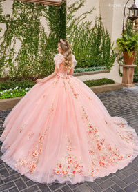 Rachel Allan Style RQ3132 - BLUSH MULTI