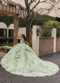 Rachel Allan Style RQ3163 - SAGE IRIDESCENT