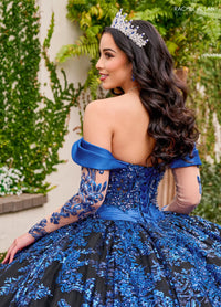 Rachel Allan Style RQ2194 - BLACK ROYAL