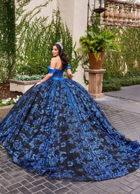 Rachel Allan Style RQ2194 - BLACK ROYAL