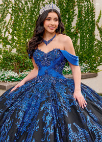 Rachel Allan Style RQ2194 - BLACK ROYAL