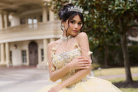 AmaBella Style Q1105