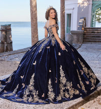 Breathtaking velvet ball gown w/ butterfly details & long gloves included