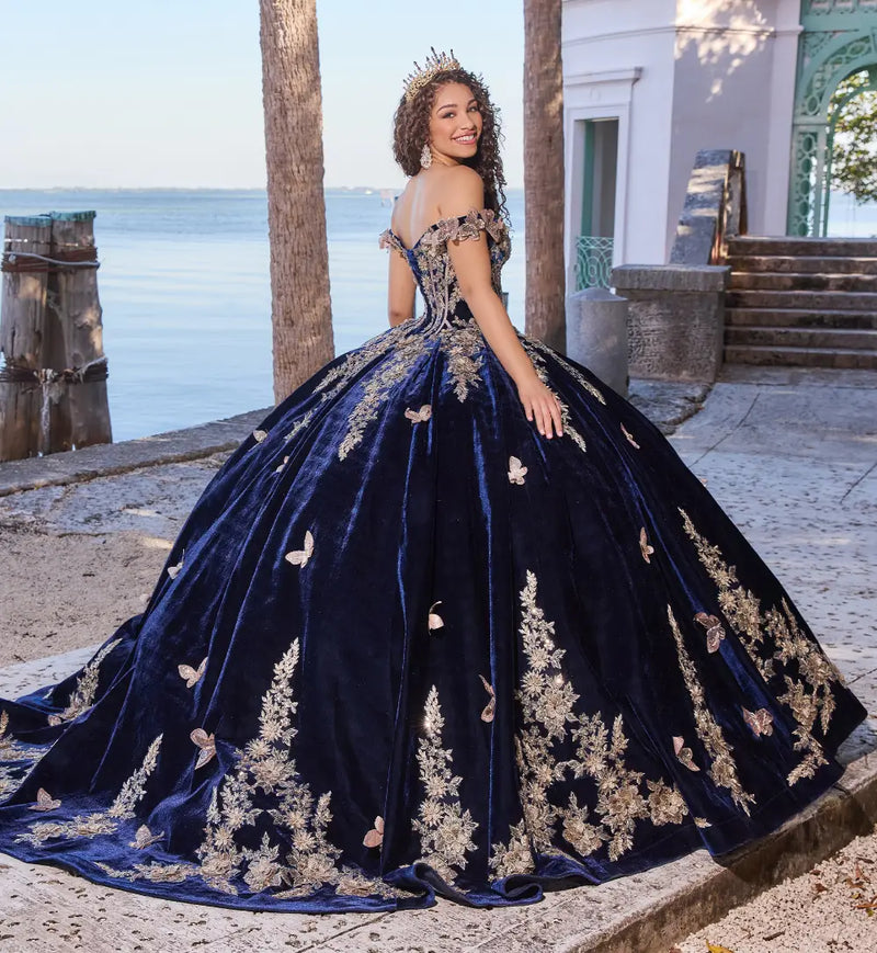 Breathtaking velvet ball gown w/ butterfly details & long gloves included