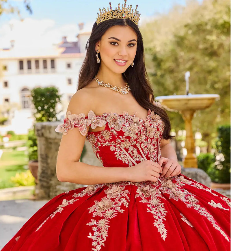 Breathtaking velvet ball gown w/ butterfly details & long gloves included