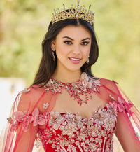 Breathtaking velvet ball gown w/ butterfly details & long gloves included