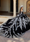 Black/Silver