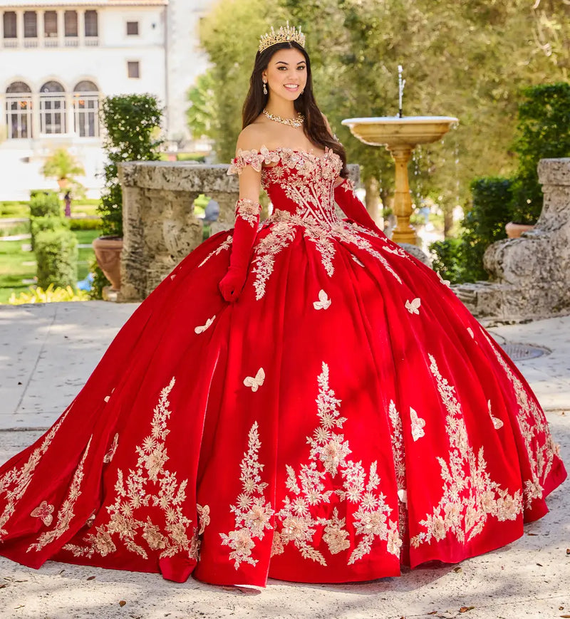 Breathtaking velvet ball gown w/ butterfly details & long gloves included