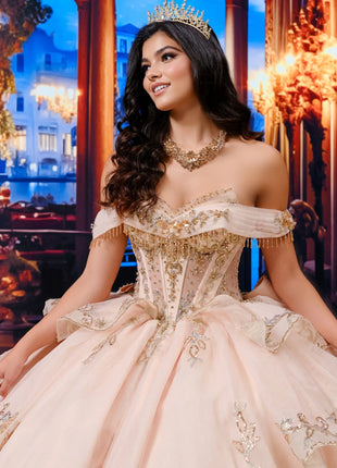 Quinceañera ball gown w/ royal train & detachable bow & collar