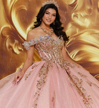 Off-the-shoulder quinceañera gown w/ dramatic 3D flowers