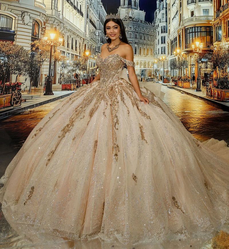 Glitter Tulle Ball Gown w/ Stone-Accented Sleeves & Back Bow