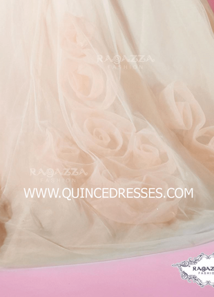 ROSETTE SKIRT QUINCEANERA DRESS BY RAGAZZA FASHION DV39-539